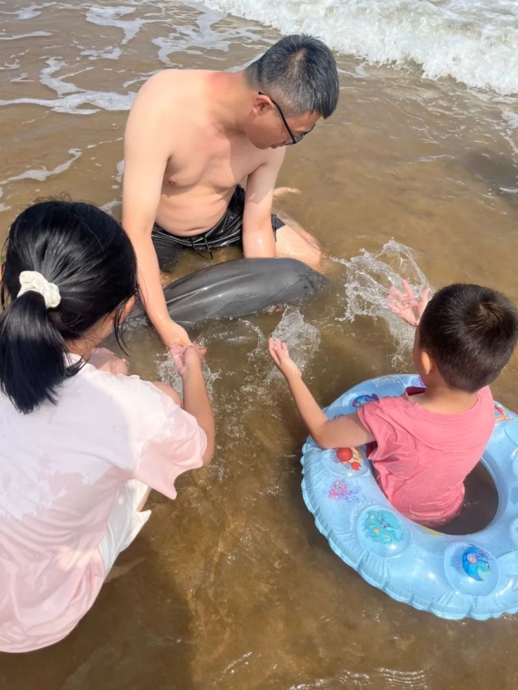 热心市民托举20分钟施救!多方接力,搁浅江豚回家了! 热心市民托举20分钟施救!多方接力,搁浅江豚回家了!