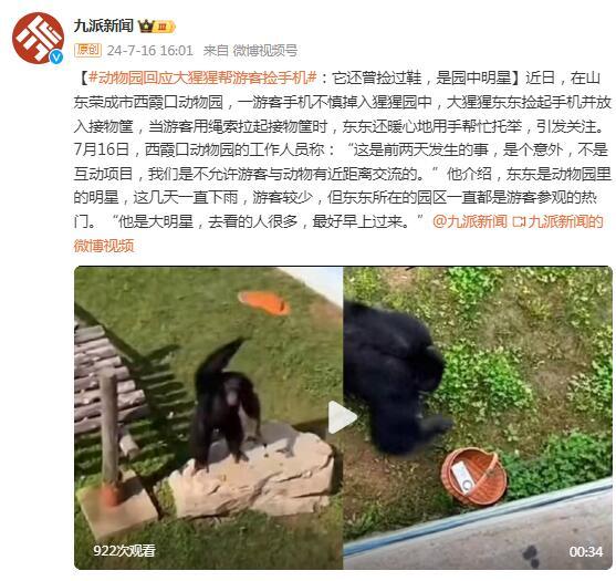 动物园回应大猩猩帮游客捡手机：它还曾捡过鞋，是园中明星