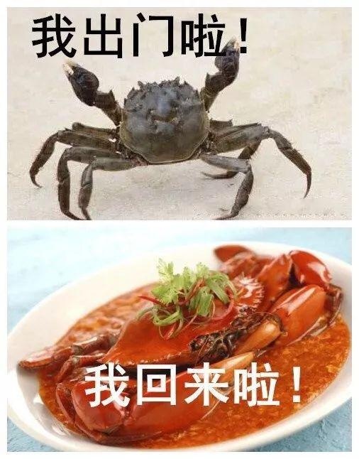 突发通告，多地景区关闭，多趟列车停运！上海最新预警→