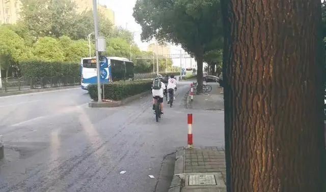 胆子大！3名初中生冲上热搜！家长被质疑？网友：“报警吧……”