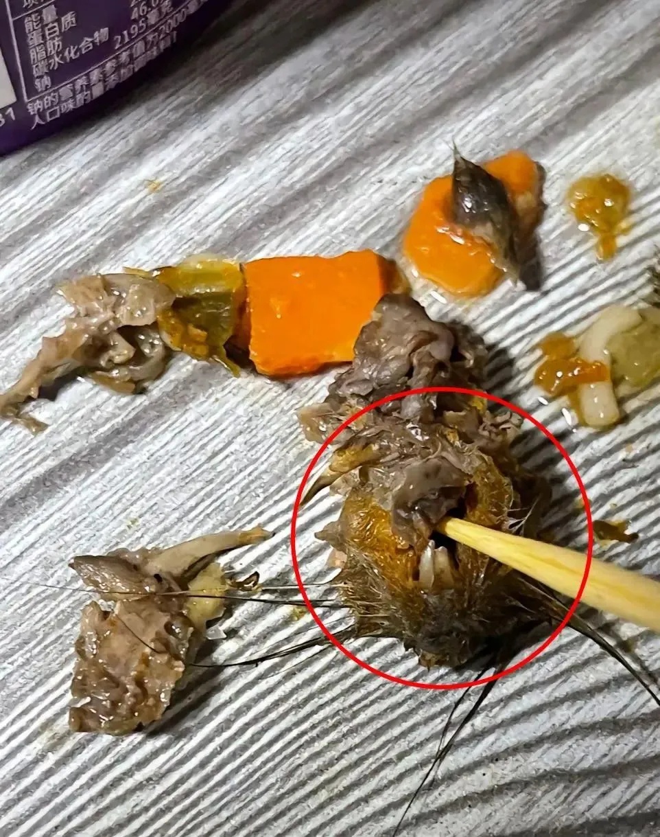 某品牌酸菜牛肉面中吃出鼠头？企业回应→