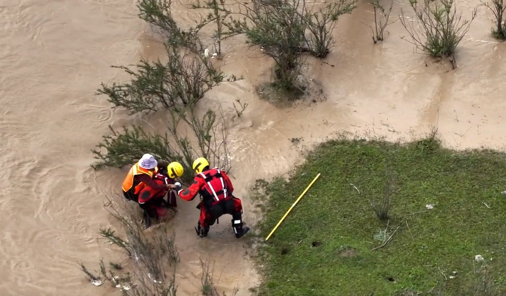 河水上涨致3人700余只牛羊被困!青海消防紧急救援 河水上涨致3人700余只牛羊被困!青海消防紧急救援