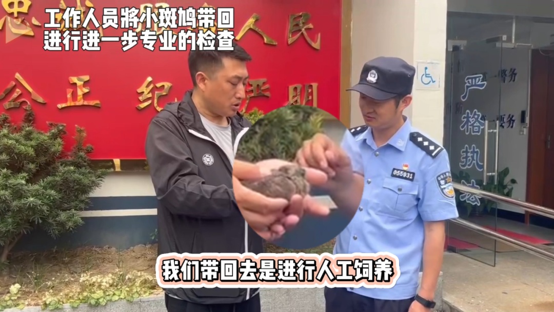 猜猜派出所里迎来了哪两位“小客人”? 猜猜派出所里迎来了哪两位“小客人”?