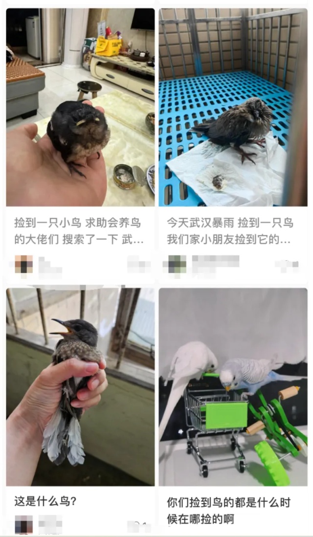 路边看见他们，“不要救，不要捡”