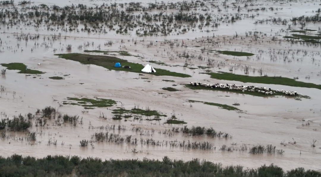 河水上涨致3人700余只牛羊被困!青海消防紧急救援 河水上涨致3人700余只牛羊被困!青海消防紧急救援