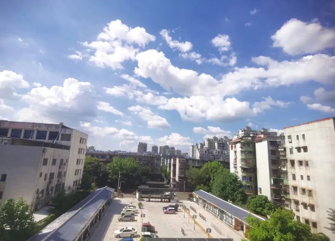 柳州,超37℃!今年首个高温橙色预警来了! 柳州,超37℃!今年首个高温橙色预警来了!