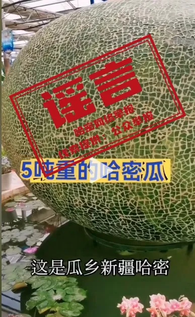 5吨重的哈密瓜?回应来了 5吨重的哈密瓜?回应来了