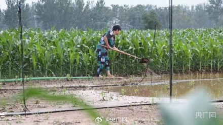 河南发布农田渍涝灾害高风险预警 河南发布农田渍涝灾害高风险预警