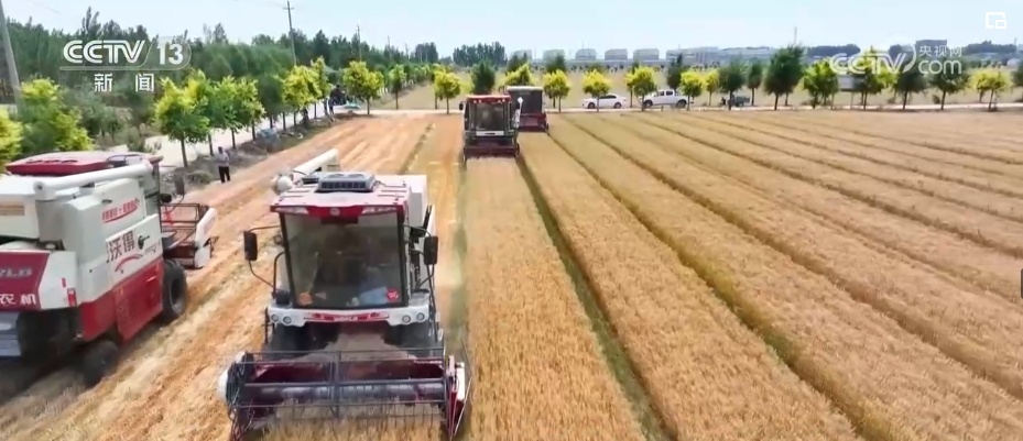 “两重”“两新”等政策效果持续释放 新动能新优势支撑力增强 “两重”“两新”等政策效果持续释放 新动能新优势支撑力增强