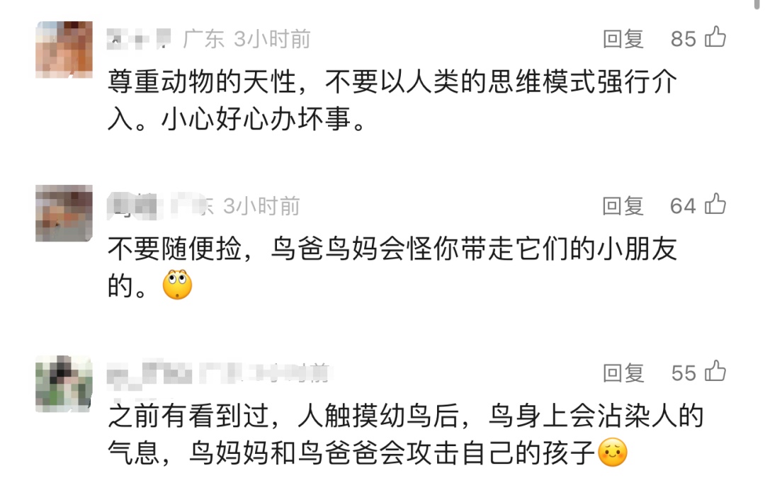 不要救!不要救!不要救!看见要注意 不要救!不要救!不要救!看见要注意