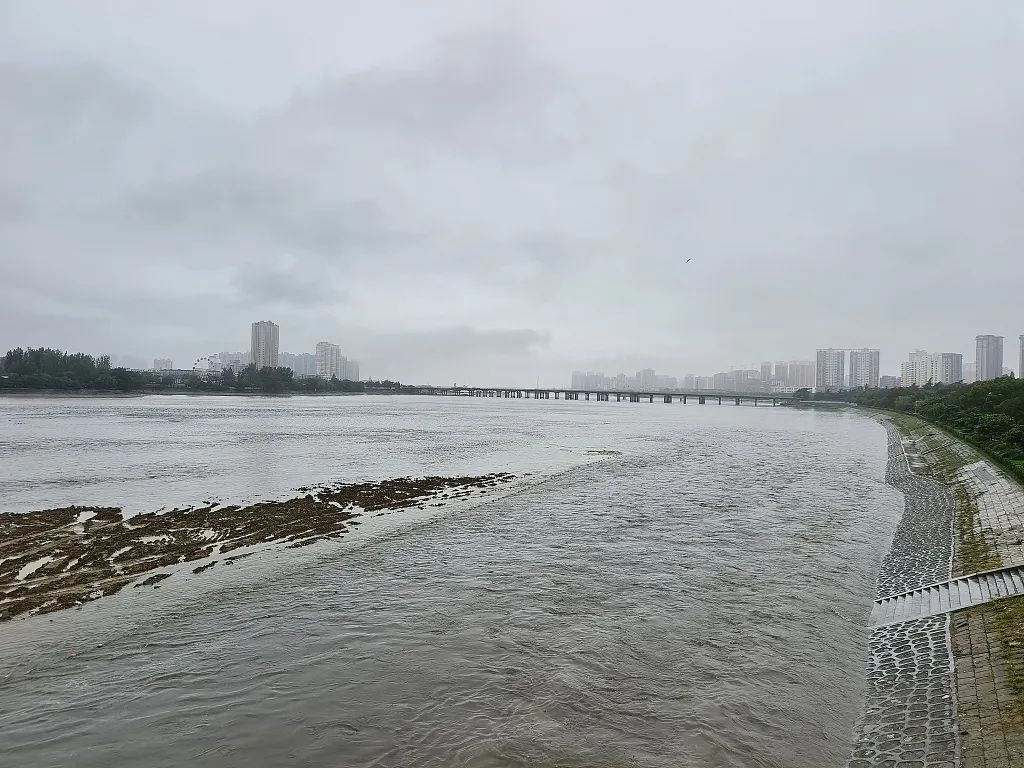 突发通告，多地景区关闭，多趟列车停运！上海最新预警→