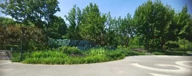 聚焦市民需求实施功能提升，海淀区绿隔公园“华丽转变”