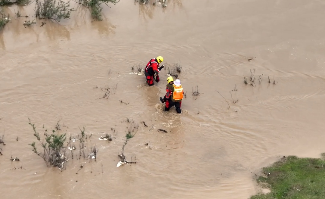 河水上涨致3人700余只牛羊被困!青海消防紧急救援 河水上涨致3人700余只牛羊被困!青海消防紧急救援