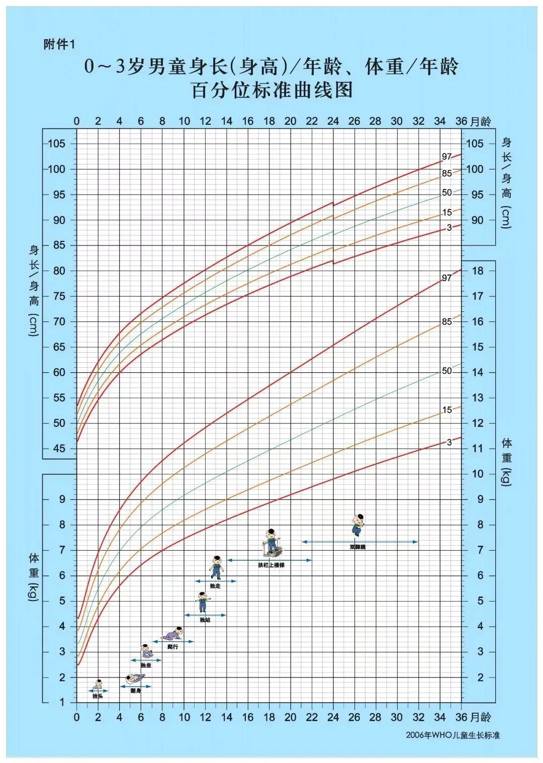 儿童青少年胖没胖？定期测一测，马上就知道！