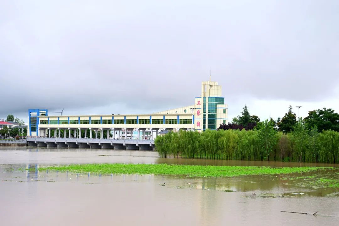 “七下八上”关键期来了→