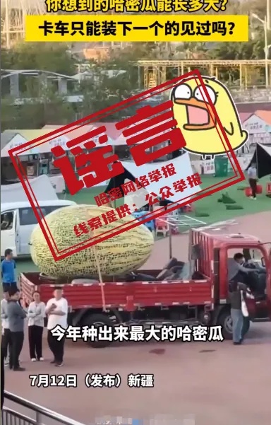 5吨重的哈密瓜?回应来了 5吨重的哈密瓜?回应来了