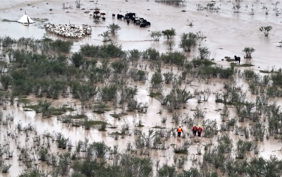 河水上涨致3人700余只牛羊被困!青海消防紧急救援 河水上涨致3人700余只牛羊被困!青海消防紧急救援