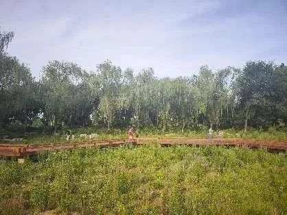 聚焦市民需求实施功能提升，海淀区绿隔公园“华丽转变”