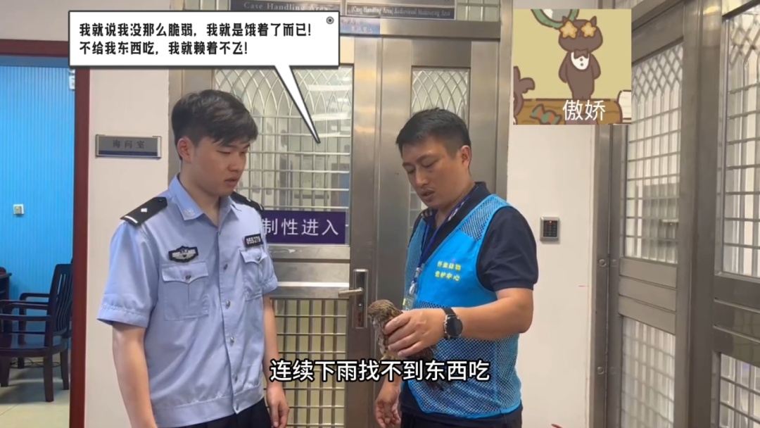 猜猜派出所里迎来了哪两位“小客人”? 猜猜派出所里迎来了哪两位“小客人”?