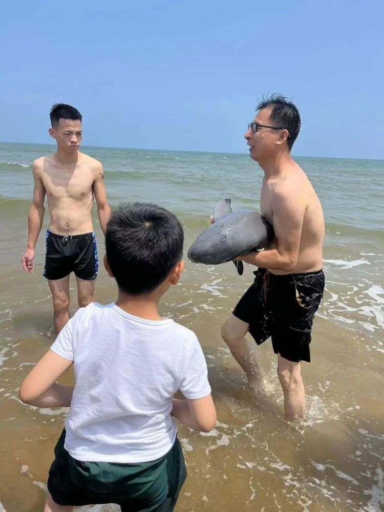 热心市民托举20分钟施救!多方接力,搁浅江豚回家了! 热心市民托举20分钟施救!多方接力,搁浅江豚回家了!