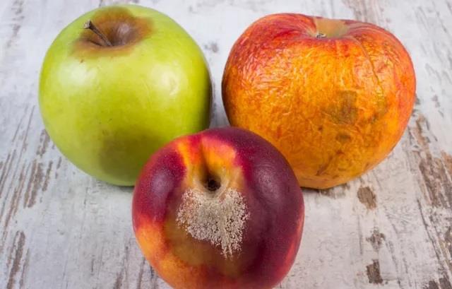 1毫克即可致死!夏日警惕餐桌上的“致命杀手” 1毫克即可致死!夏日警惕餐桌上的“致命杀手”