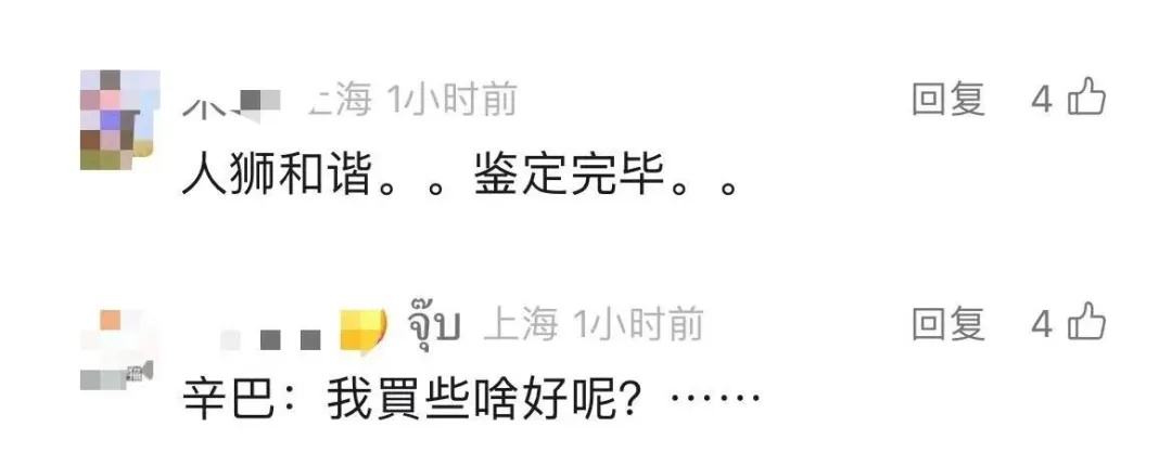 小狮子在商场里溜达？回应：“安全性是有保障的”