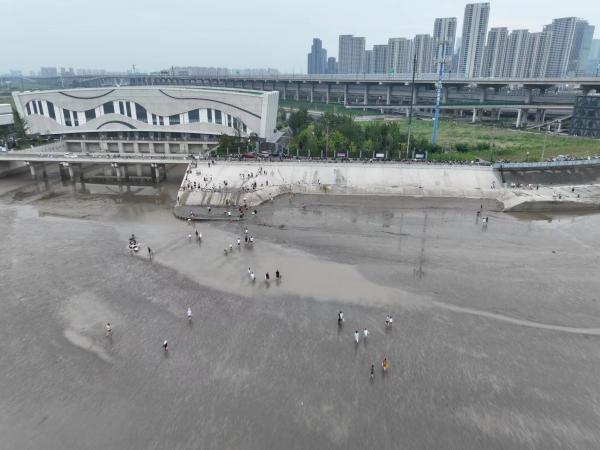 数百人下钱塘江滩涂捞黄蚬,杭州市林水局:危险、切勿下堤 数百人下钱塘江滩涂捞黄蚬,杭州市林水局:危险、切勿下堤