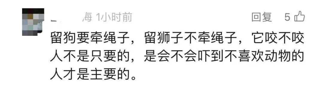 小狮子在商场里溜达？回应：“安全性是有保障的”