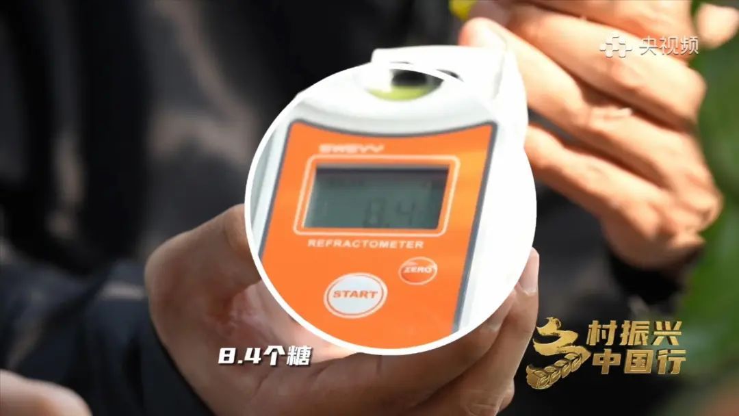 【大医生小厨房】“有内味了！” 可青可甜，它还能治便秘...