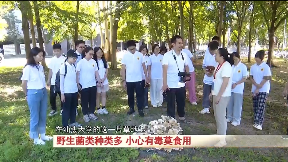 注意!野生菌类种类多,小心有毒莫食用 注意!野生菌类种类多,小心有毒莫食用