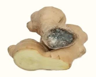 1毫克即可致死!夏日警惕餐桌上的“致命杀手” 1毫克即可致死!夏日警惕餐桌上的“致命杀手”