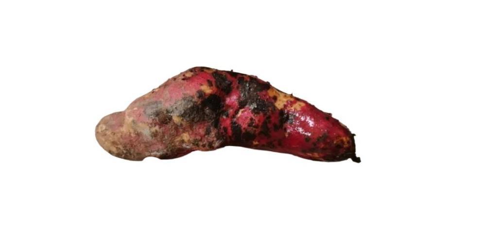 1毫克即可致死!夏日警惕餐桌上的“致命杀手” 1毫克即可致死!夏日警惕餐桌上的“致命杀手”