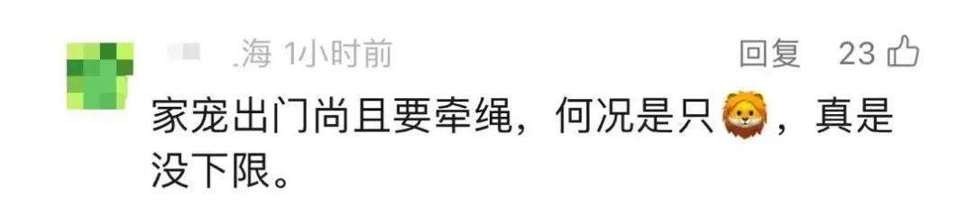 小狮子在商场里溜达？回应：“安全性是有保障的”