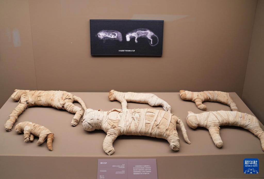 “金字塔之巅:古埃及文明大展”在上海博物馆开幕 “金字塔之巅:古埃及文明大展”在上海博物馆开幕