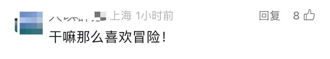 小狮子在商场里溜达？回应：“安全性是有保障的”