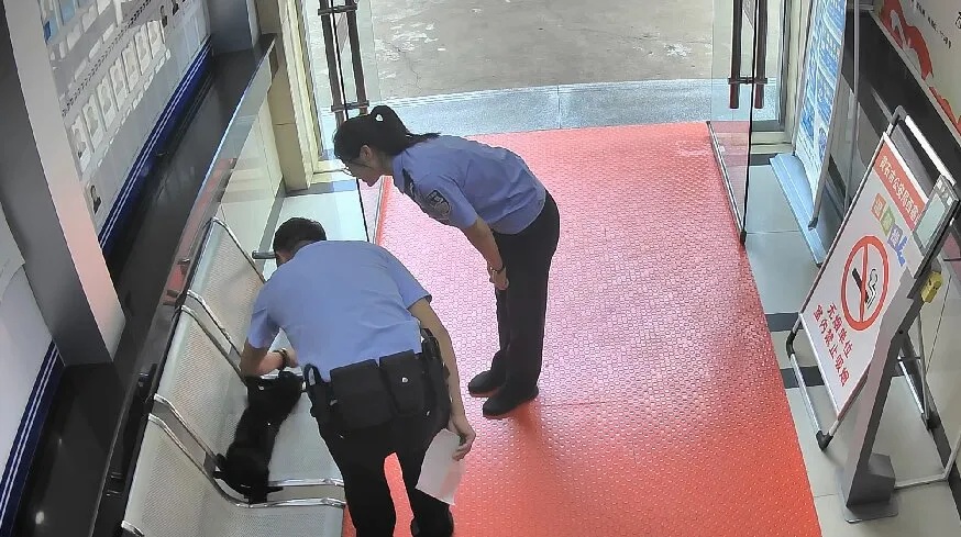 派出所不养“闲猫”？它竟然送来了“感谢礼”...