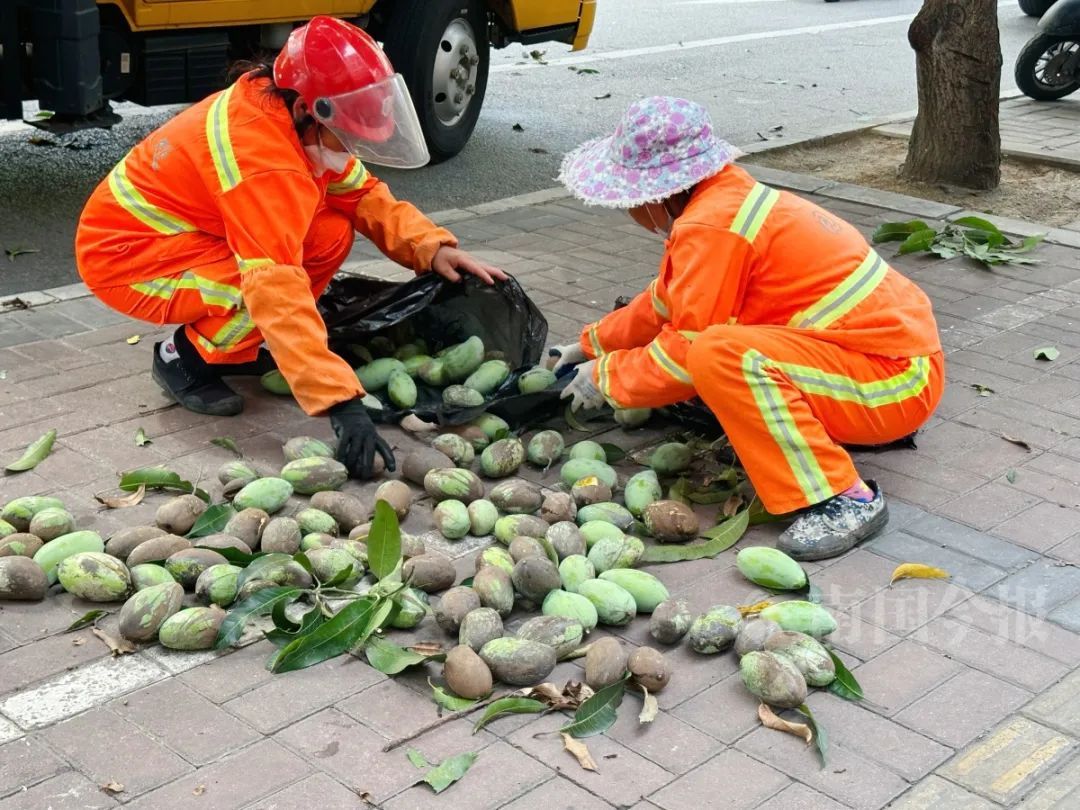 柳州已出现！不要乱吃！不要乱吃！不要乱吃！