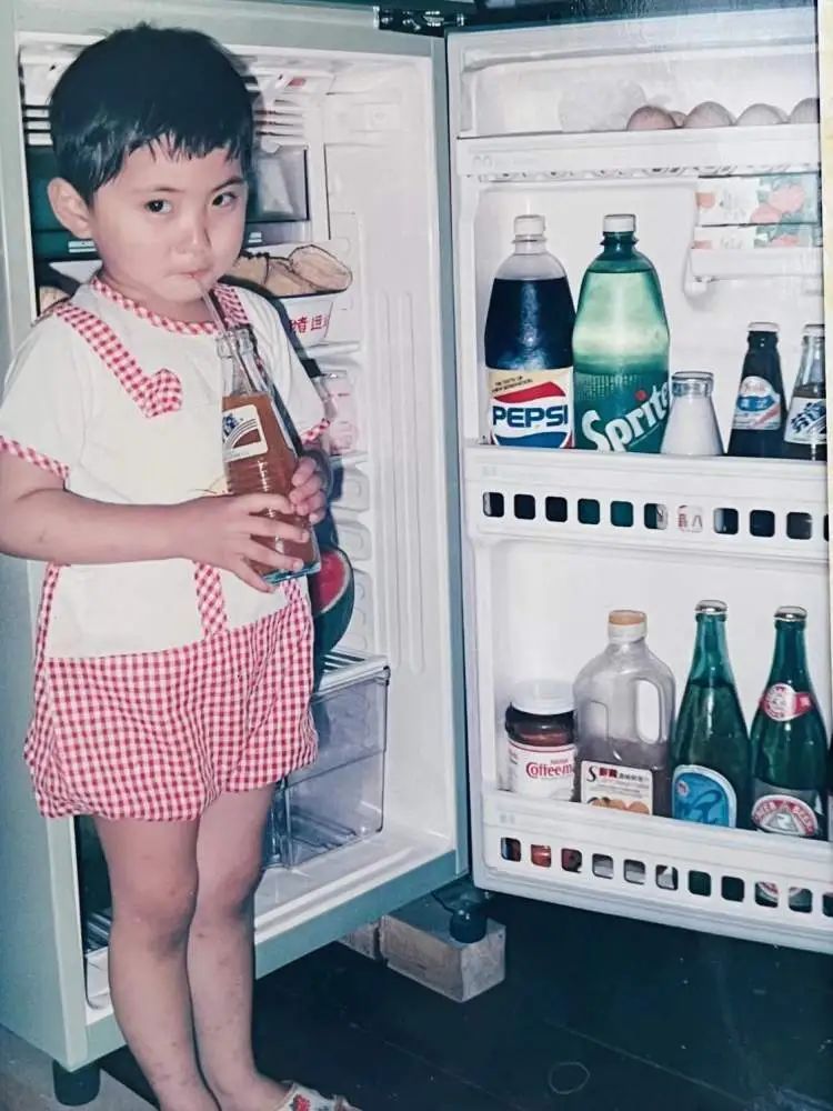30年前的夏天，上海人的电冰箱里有些啥？