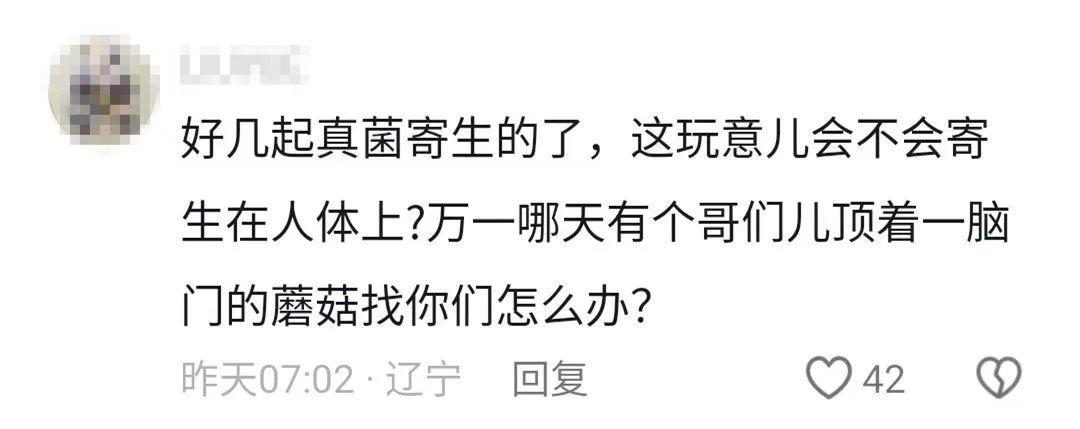 买买伞!继“果菌王”后,昆明专家又收到长菌的大蒜!网友:你蒜什么菇 买买伞!继“果菌王”后,昆明专家又收到长菌的大蒜!网友:你蒜什么菇