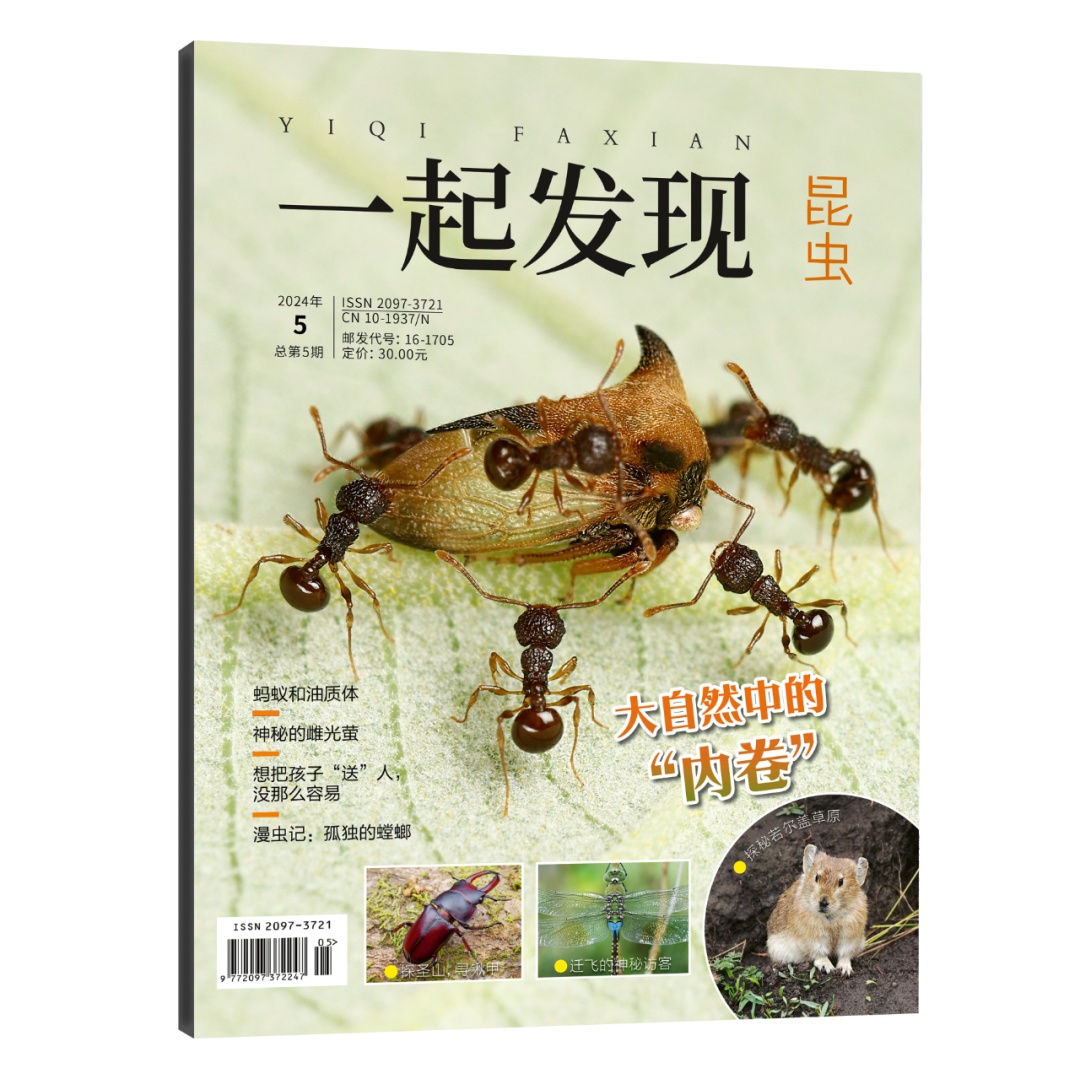 暑期Fun阅读,成长就要有“趣”! 暑期Fun阅读,成长就要有“趣”!