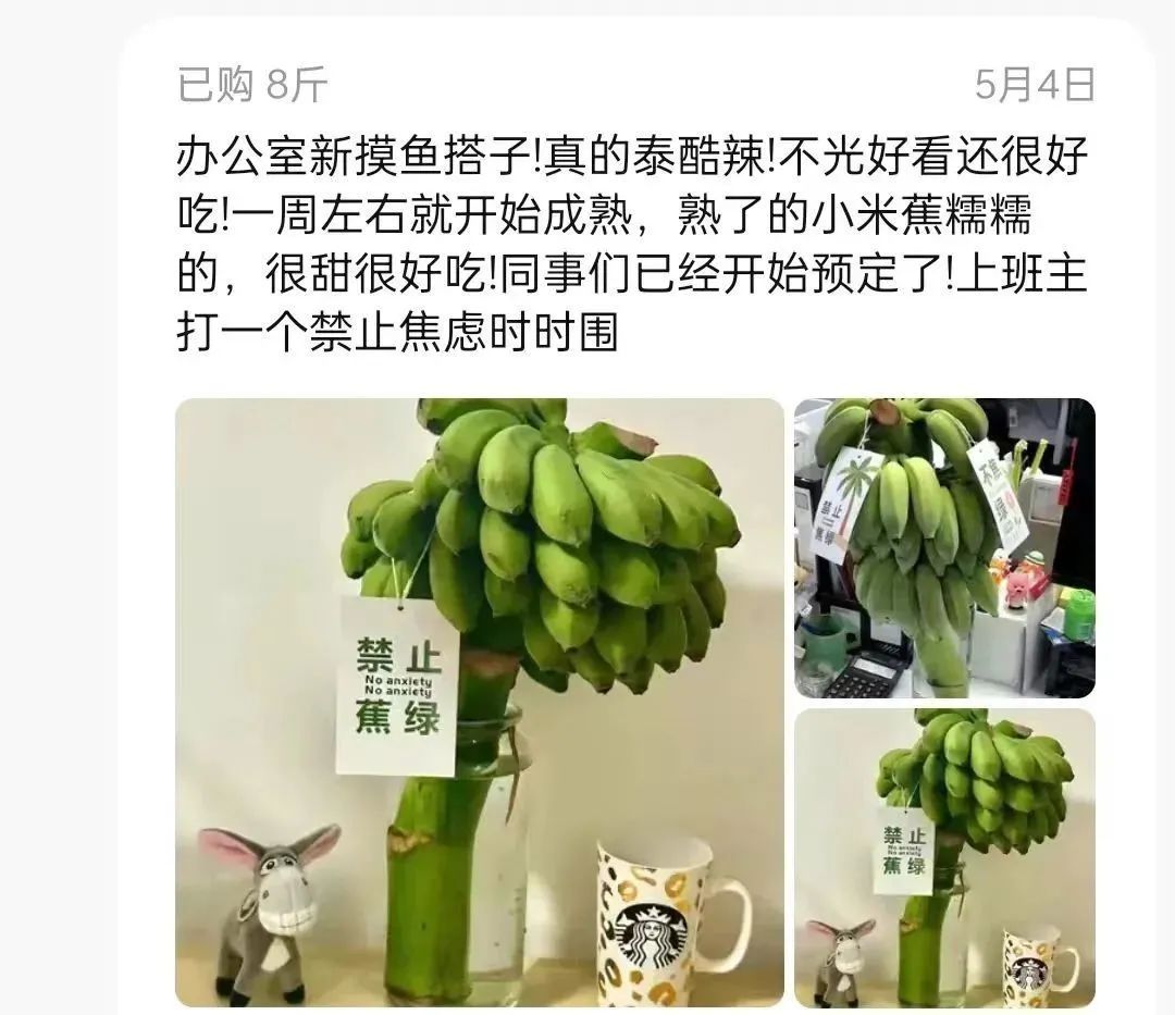 “爆改”的风,吹到了工位上 “爆改”的风,吹到了工位上