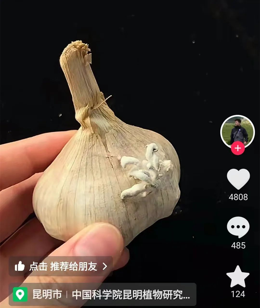 买买伞!继“果菌王”后,昆明专家又收到长菌的大蒜!网友:你蒜什么菇 买买伞!继“果菌王”后,昆明专家又收到长菌的大蒜!网友:你蒜什么菇