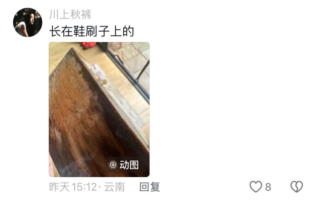 买买伞!继“果菌王”后,昆明专家又收到长菌的大蒜!网友:你蒜什么菇 买买伞!继“果菌王”后,昆明专家又收到长菌的大蒜!网友:你蒜什么菇