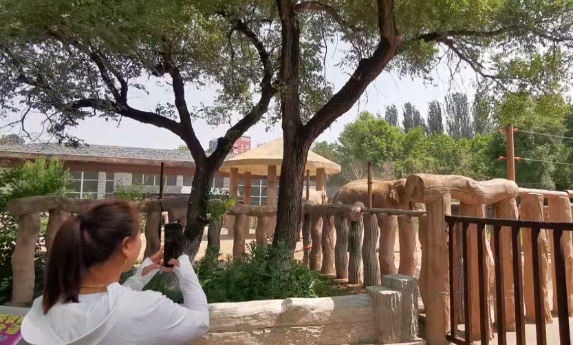 炎炎夏日,小动物们开启“吃瓜模式” 炎炎夏日,小动物们开启“吃瓜模式”