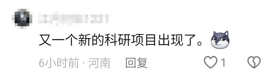 买买伞!继“果菌王”后,昆明专家又收到长菌的大蒜!网友:你蒜什么菇 买买伞!继“果菌王”后,昆明专家又收到长菌的大蒜!网友:你蒜什么菇