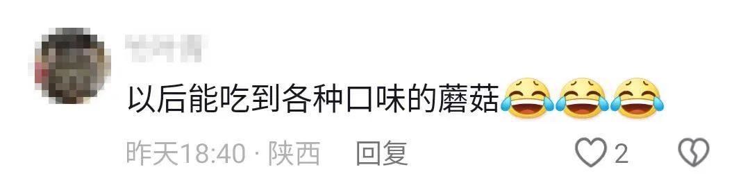 买买伞!继“果菌王”后,昆明专家又收到长菌的大蒜!网友:你蒜什么菇 买买伞!继“果菌王”后,昆明专家又收到长菌的大蒜!网友:你蒜什么菇