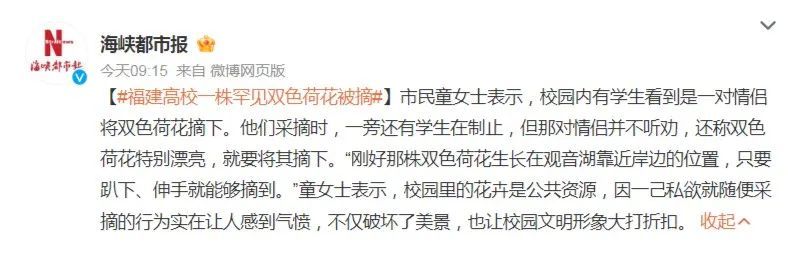 罕见双色荷花疑被情侣摘走，理由竟是好看