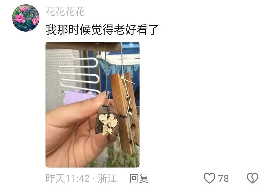 买买伞!继“果菌王”后,昆明专家又收到长菌的大蒜!网友:你蒜什么菇 买买伞!继“果菌王”后,昆明专家又收到长菌的大蒜!网友:你蒜什么菇