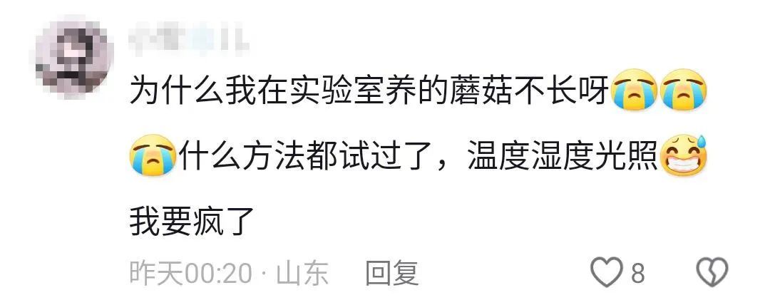 买买伞!继“果菌王”后,昆明专家又收到长菌的大蒜!网友:你蒜什么菇 买买伞!继“果菌王”后,昆明专家又收到长菌的大蒜!网友:你蒜什么菇