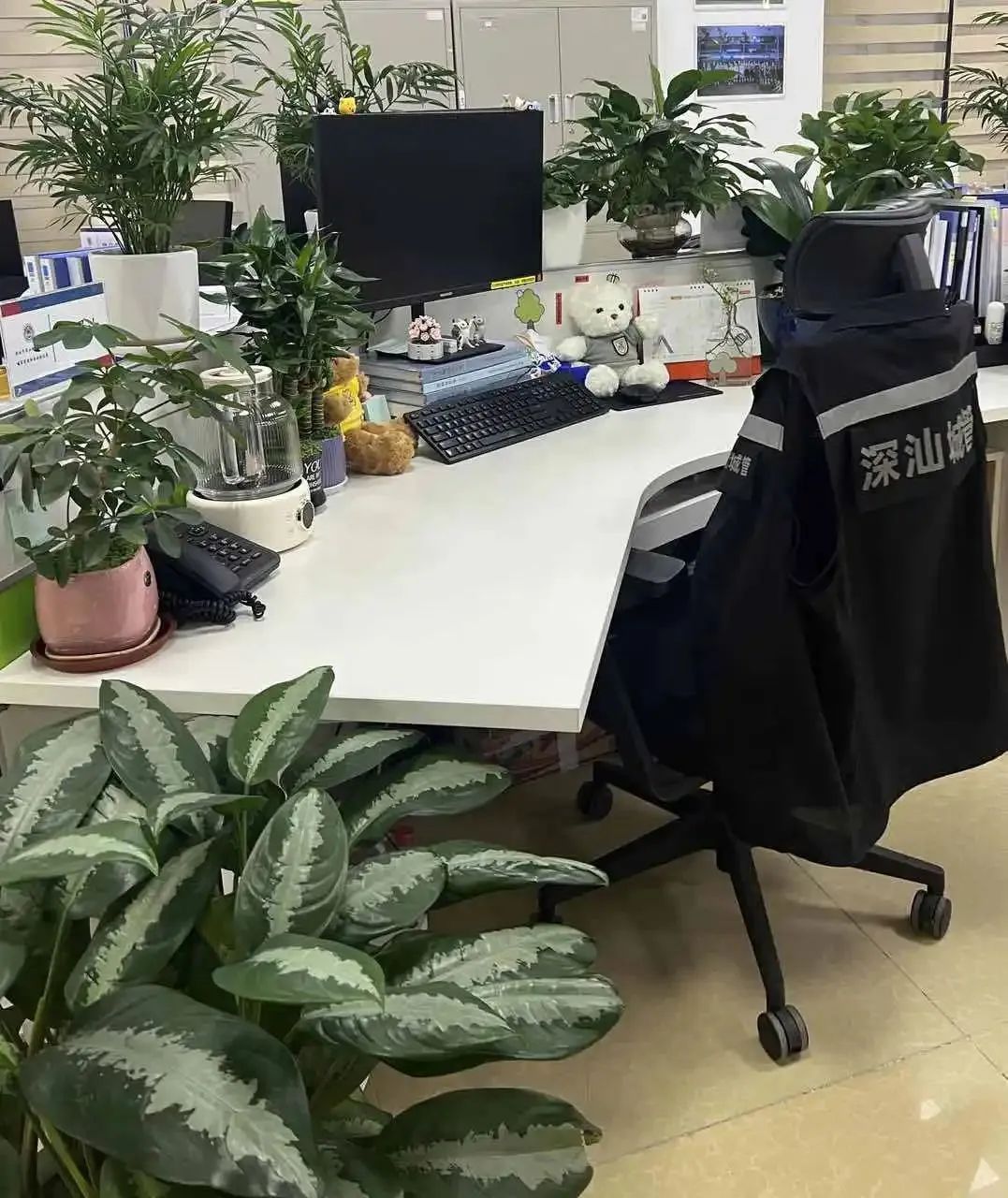 “爆改”的风,吹到了工位上 “爆改”的风,吹到了工位上